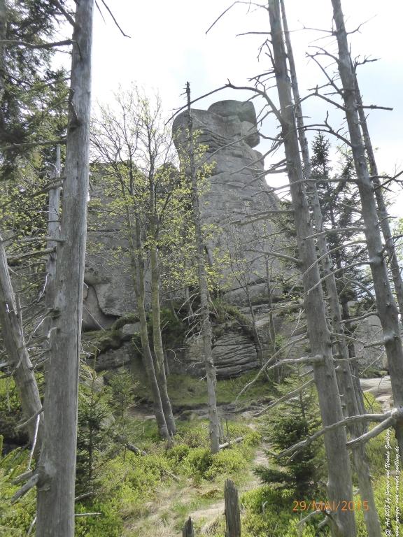 Philosophische Bildwanderung - Przesieka - Borowice - Słonecznik -Karkonosze - Krakonoše  - Polen -Tschechien -(Hain - Baberhäuser - Mittagstein - Riesengebirge