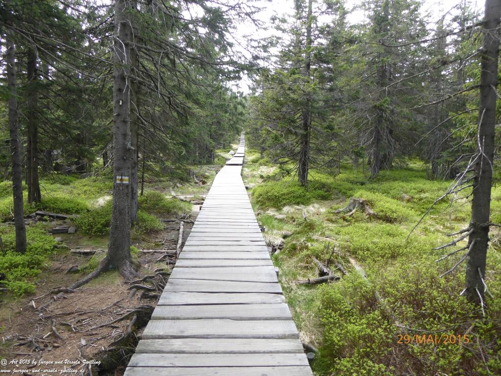 Philosophische Bildwanderung - Przesieka - Borowice - Słonecznik -Karkonosze - Krakonoše - Polen -Tschechien -(Hain - Baberhäuser - Mittagstein - Riesengebirge