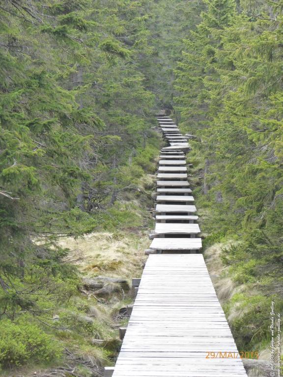 Philosophische Bildwanderung - Przesieka - Borowice - Słonecznik -Karkonosze - Krakonoše - Polen -Tschechien -(Hain - Baberhäuser - Mittagstein - Riesengebirge