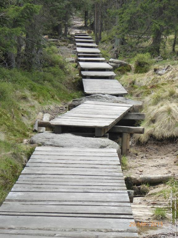 Philosophische Bildwanderung - Przesieka - Borowice - Słonecznik -Karkonosze - Krakonoše - Polen -Tschechien -(Hain - Baberhäuser - Mittagstein - Riesengebirge