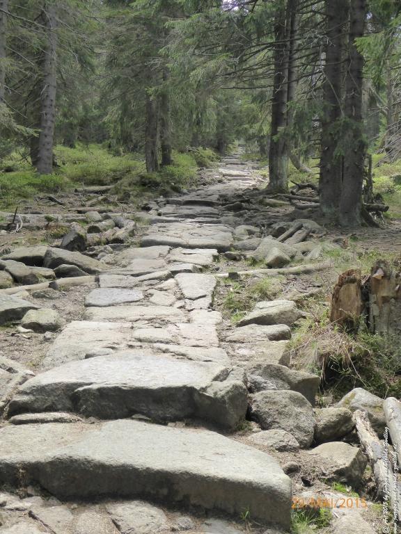 Philosophische Bildwanderung - Przesieka - Borowice - Słonecznik -Karkonosze - Krakonoše - Polen -Tschechien -(Hain - Baberhäuser - Mittagstein - Riesengebirge