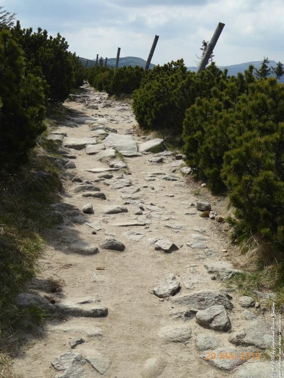 Philosophische Bildwanderung - Przesieka - Borowice - Słonecznik -Karkonosze - Krakonoše - Polen -Tschechien -(Hain - Baberhäuser - Mittagstein - Riesengebirge