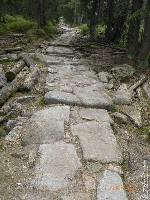 Philosophische Bildwanderung - Przesieka - Borowice - Słonecznik -Karkonosze - Krakonoše - Polen -Tschechien -(Hain - Baberhäuser - Mittagstein - Riesengebirge