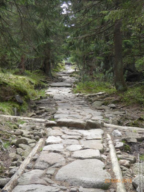 Philosophische Bildwanderung - Przesieka - Borowice - Słonecznik -Karkonosze - Krakonoše - Polen -Tschechien -(Hain - Baberhäuser - Mittagstein - Riesengebirge