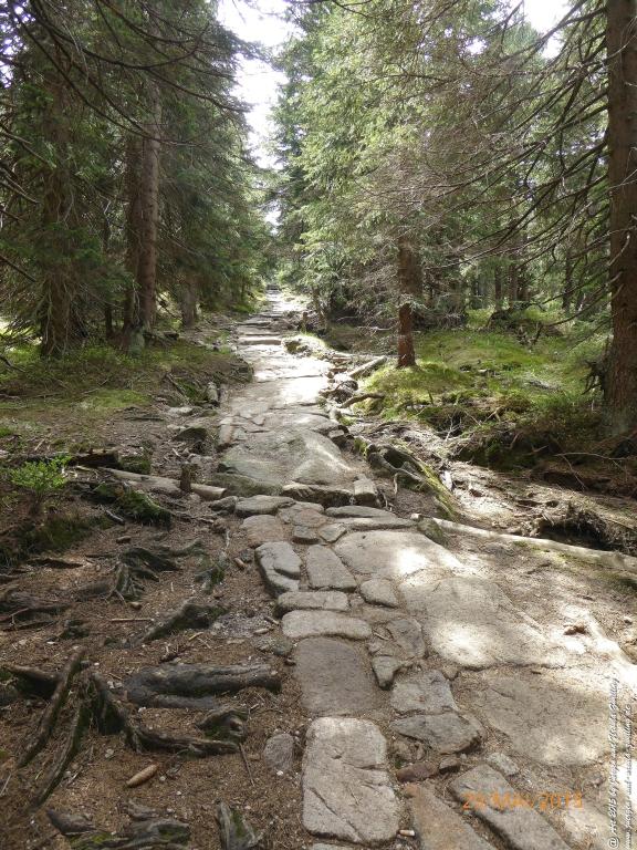 Philosophische Bildwanderung - Przesieka - Borowice - Słonecznik -Karkonosze - Krakonoše - Polen -Tschechien -(Hain - Baberhäuser - Mittagstein - Riesengebirge