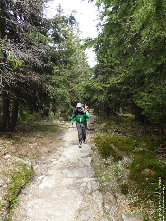 Philosophische Bildwanderung - Przesieka - Borowice - Słonecznik -Karkonosze - Krakonoše - Polen -Tschechien -(Hain - Baberhäuser - Mittagstein - Riesengebirge