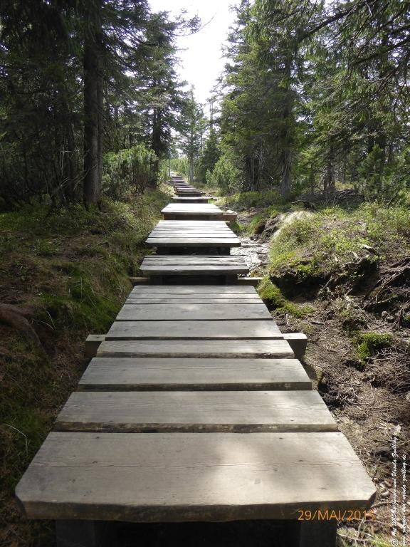 Philosophische Bildwanderung - Przesieka - Borowice - Słonecznik -Karkonosze - Krakonoše - Polen -Tschechien -(Hain - Baberhäuser - Mittagstein - Riesengebirge