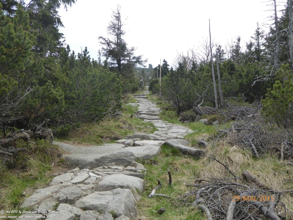 Philosophische Bildwanderung - Przesieka - Borowice - Słonecznik -Karkonosze - Krakonoše - Polen -Tschechien -(Hain - Baberhäuser - Mittagstein - Riesengebirge