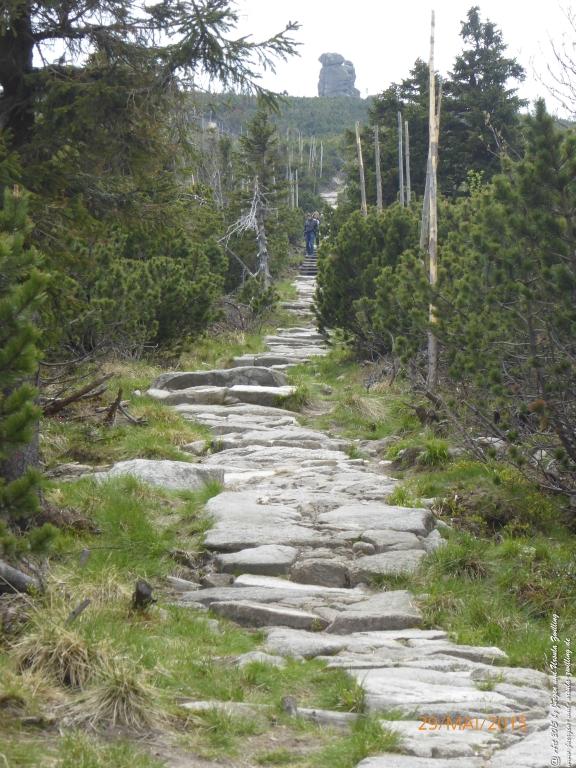 Philosophische Bildwanderung - Przesieka - Borowice - Słonecznik -Karkonosze - Krakonoše - Polen -Tschechien -(Hain - Baberhäuser - Mittagstein - Riesengebirge