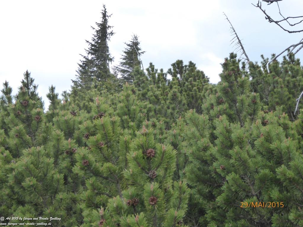 Philosophische Bildwanderung - Przesieka - Borowice - Słonecznik -Karkonosze - Krakonoše - Polen -Tschechien -(Hain - Baberhäuser - Mittagstein - Riesengebirge