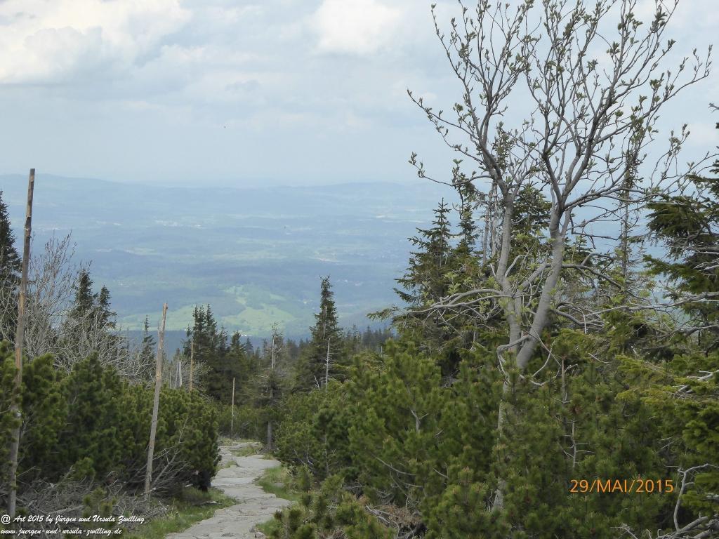 Philosophische Bildwanderung - Przesieka - Borowice - Słonecznik -Karkonosze - Krakonoše - Polen -Tschechien -(Hain - Baberhäuser - Mittagstein - Riesengebirge