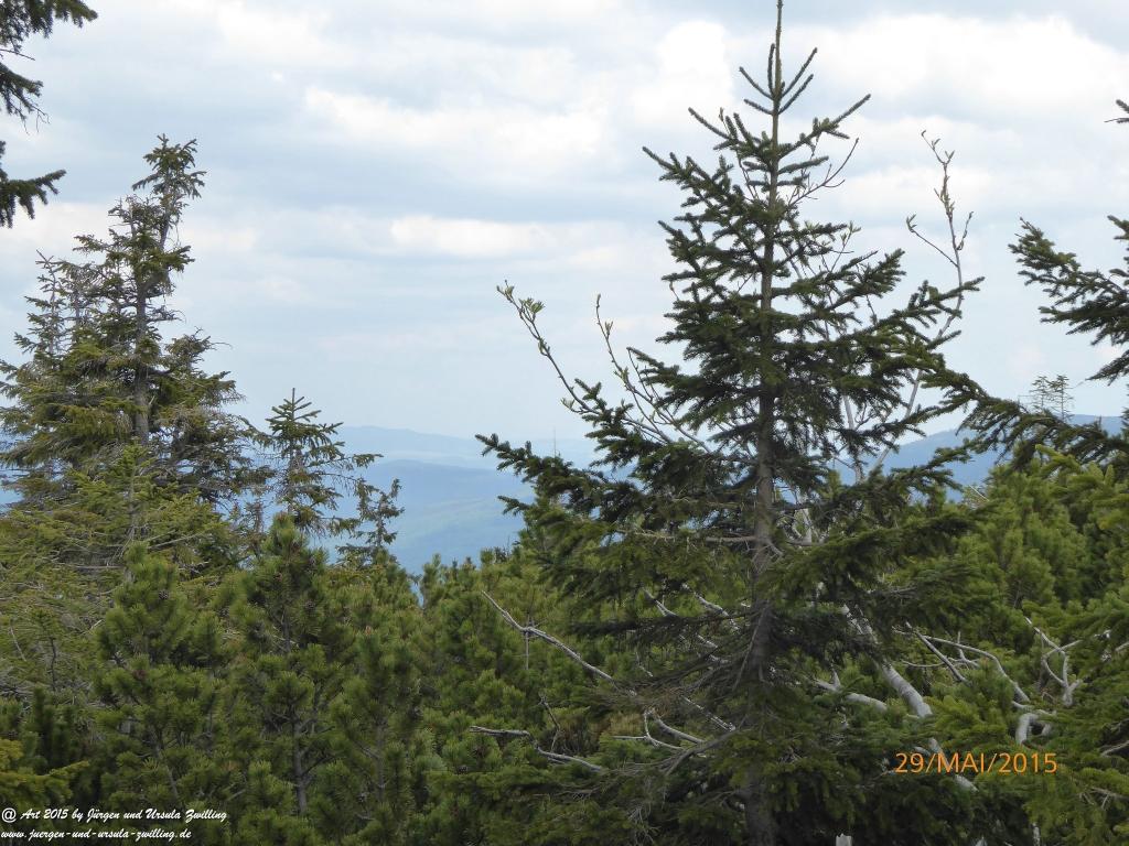 Philosophische Bildwanderung - Przesieka - Borowice - Słonecznik -Karkonosze - Krakonoše - Polen -Tschechien -(Hain - Baberhäuser - Mittagstein - Riesengebirge