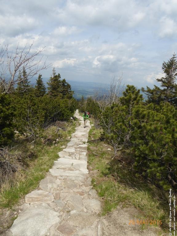 Philosophische Bildwanderung - Przesieka - Borowice - Słonecznik -Karkonosze - Krakonoše - Polen -Tschechien -(Hain - Baberhäuser - Mittagstein - Riesengebirge