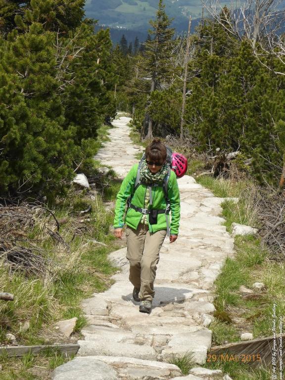 Philosophische Bildwanderung - Przesieka - Borowice - Słonecznik -Karkonosze - Krakonoše - Polen -Tschechien -(Hain - Baberhäuser - Mittagstein - Riesengebirge