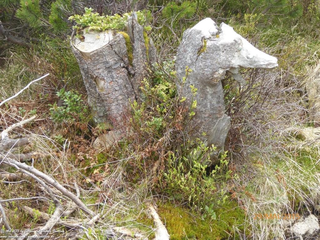 Philosophische Bildwanderung - Przesieka - Borowice - Słonecznik -Karkonosze - Krakonoše - Polen -Tschechien -(Hain - Baberhäuser - Mittagstein - Riesengebirge