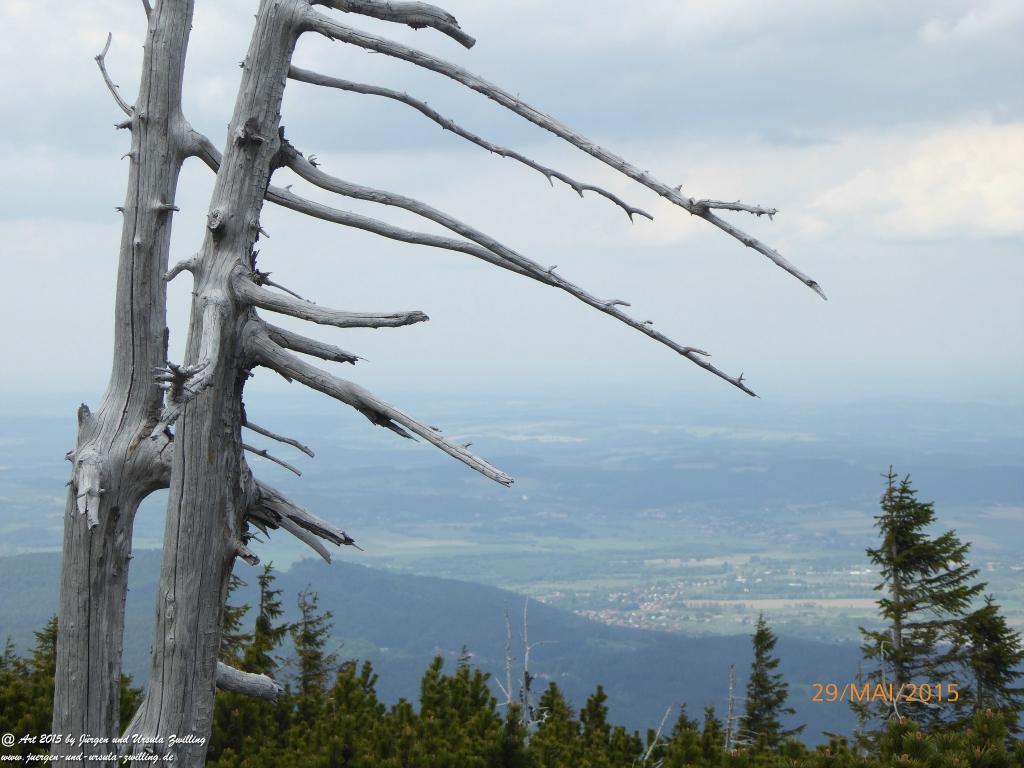 Philosophische Bildwanderung - Przesieka - Borowice - Słonecznik -Karkonosze - Krakonoše - Polen -Tschechien -(Hain - Baberhäuser - Mittagstein - Riesengebirge
