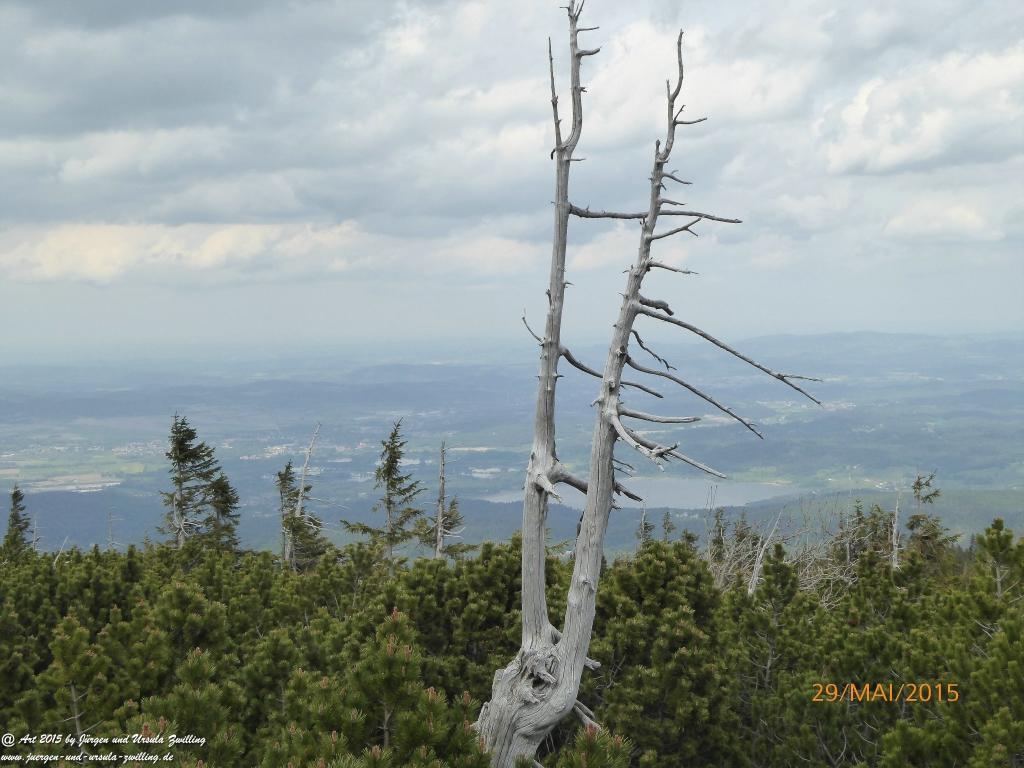 Philosophische Bildwanderung - Przesieka - Borowice - Słonecznik -Karkonosze - Krakonoše - Polen -Tschechien -(Hain - Baberhäuser - Mittagstein - Riesengebirge
