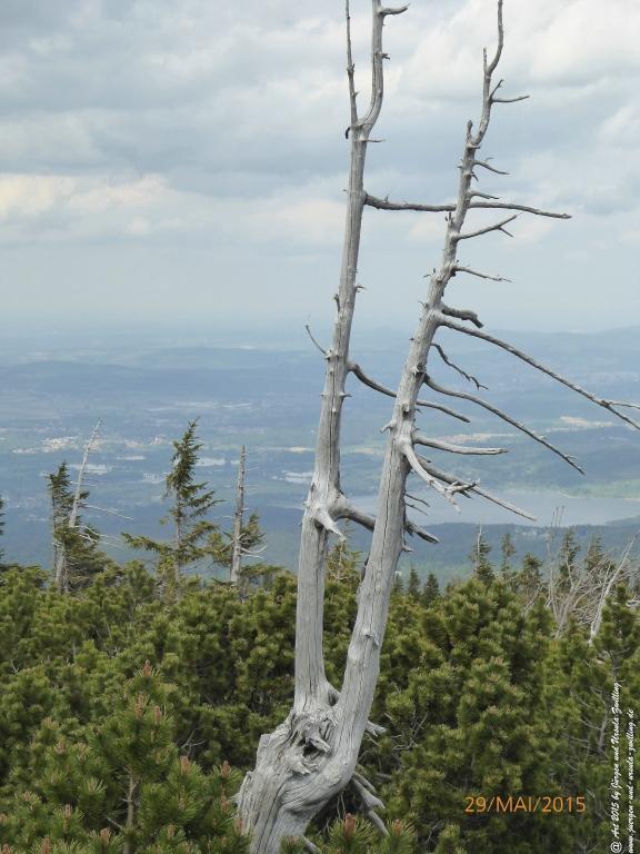 Philosophische Bildwanderung - Przesieka - Borowice - Słonecznik -Karkonosze - Krakonoše - Polen -Tschechien -(Hain - Baberhäuser - Mittagstein - Riesengebirge