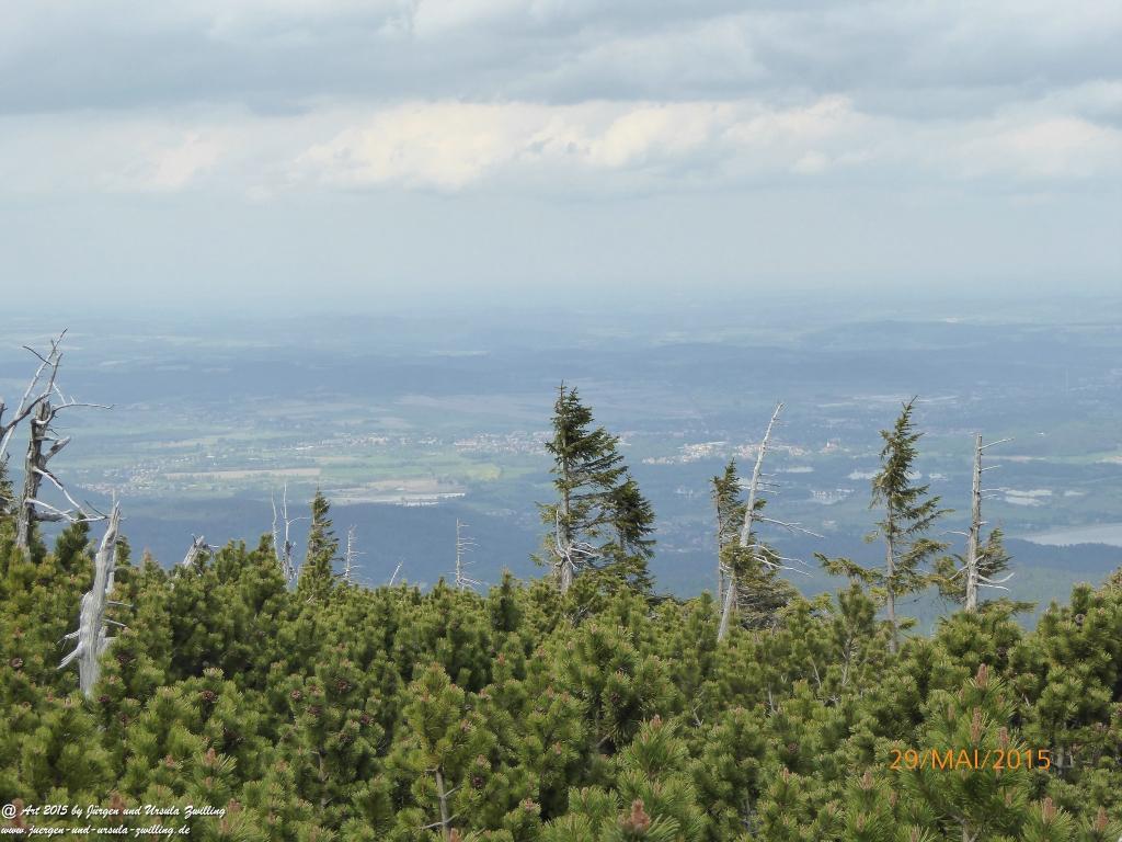 Philosophische Bildwanderung - Przesieka - Borowice - Słonecznik -Karkonosze - Krakonoše - Polen -Tschechien -(Hain - Baberhäuser - Mittagstein - Riesengebirge