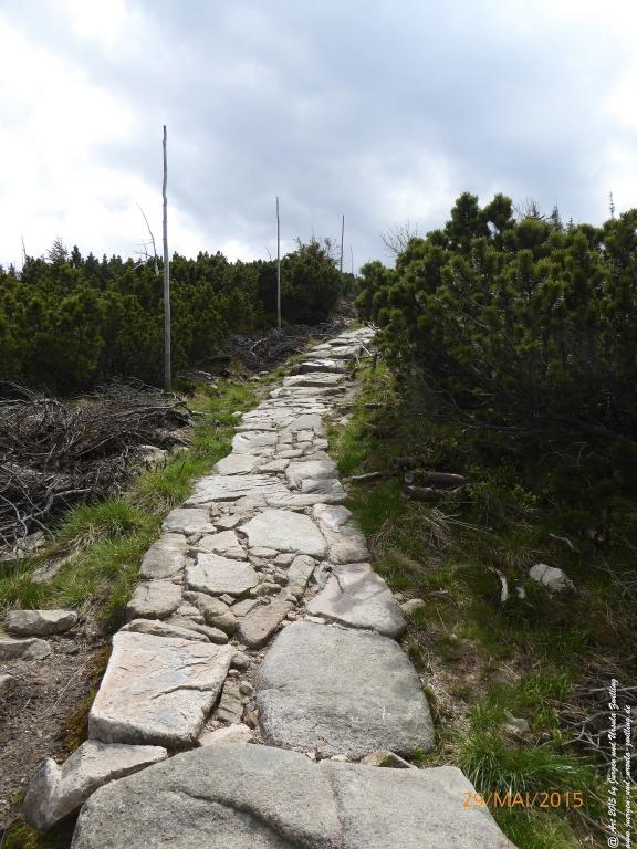 Philosophische Bildwanderung - Przesieka - Borowice - Słonecznik -Karkonosze - Krakonoše - Polen -Tschechien -(Hain - Baberhäuser - Mittagstein - Riesengebirge