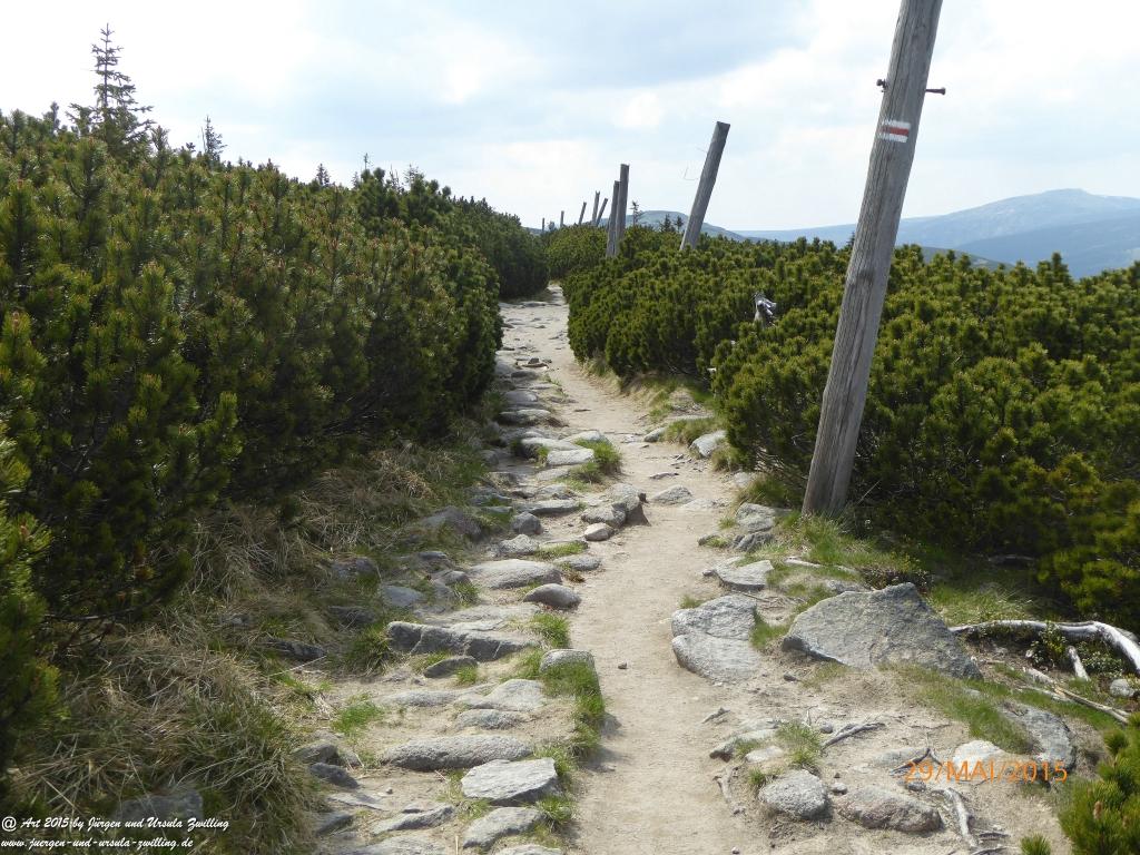 Philosophische Bildwanderung - Przesieka - Borowice - Słonecznik -Karkonosze - Krakonoše - Polen -Tschechien -(Hain - Baberhäuser - Mittagstein - Riesengebirge