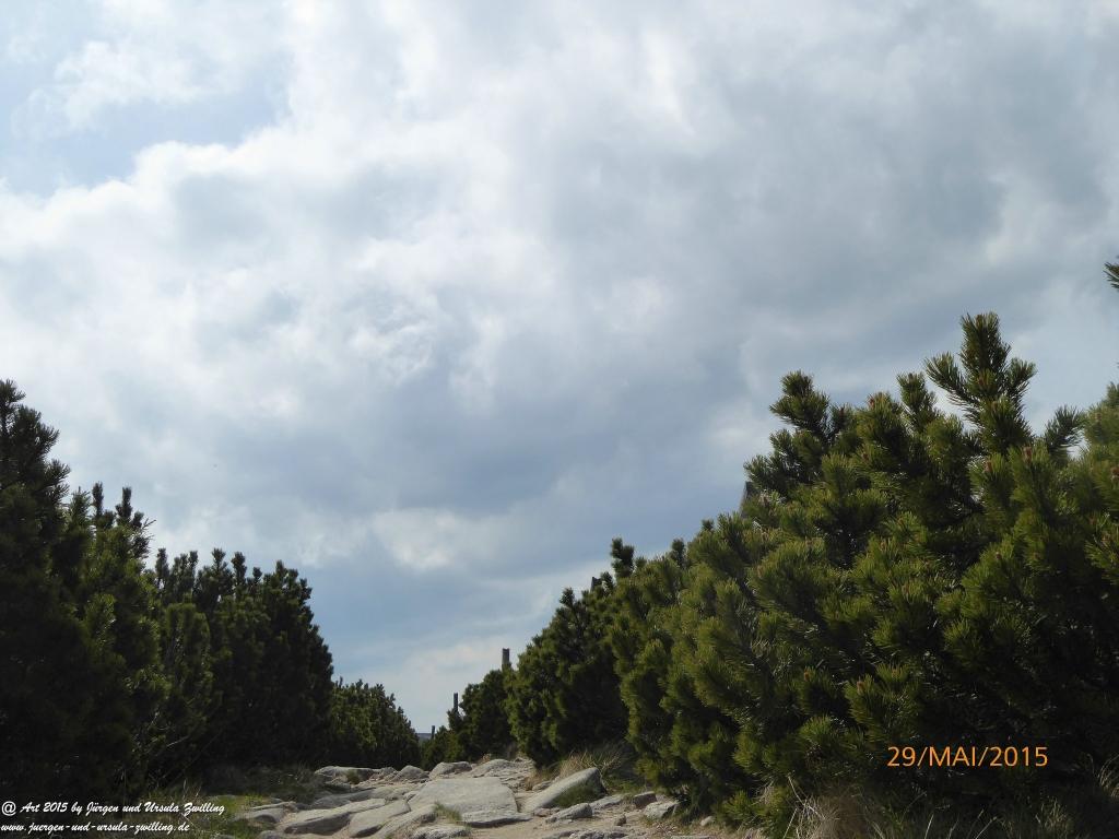 Philosophische Bildwanderung - Przesieka - Borowice - Słonecznik -Karkonosze - Krakonoše - Polen -Tschechien -(Hain - Baberhäuser - Mittagstein - Riesengebirge