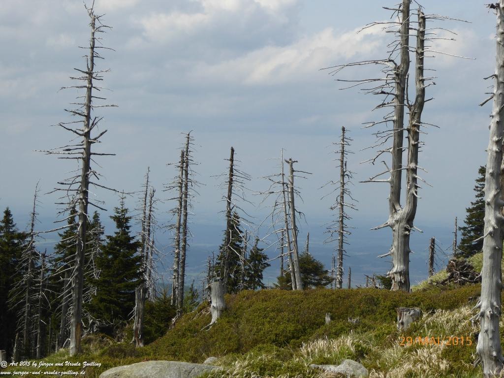 Philosophische Bildwanderung - Przesieka - Borowice - Słonecznik -Karkonosze - Krakonoše - Polen -Tschechien -(Hain - Baberhäuser - Mittagstein - Riesengebirge