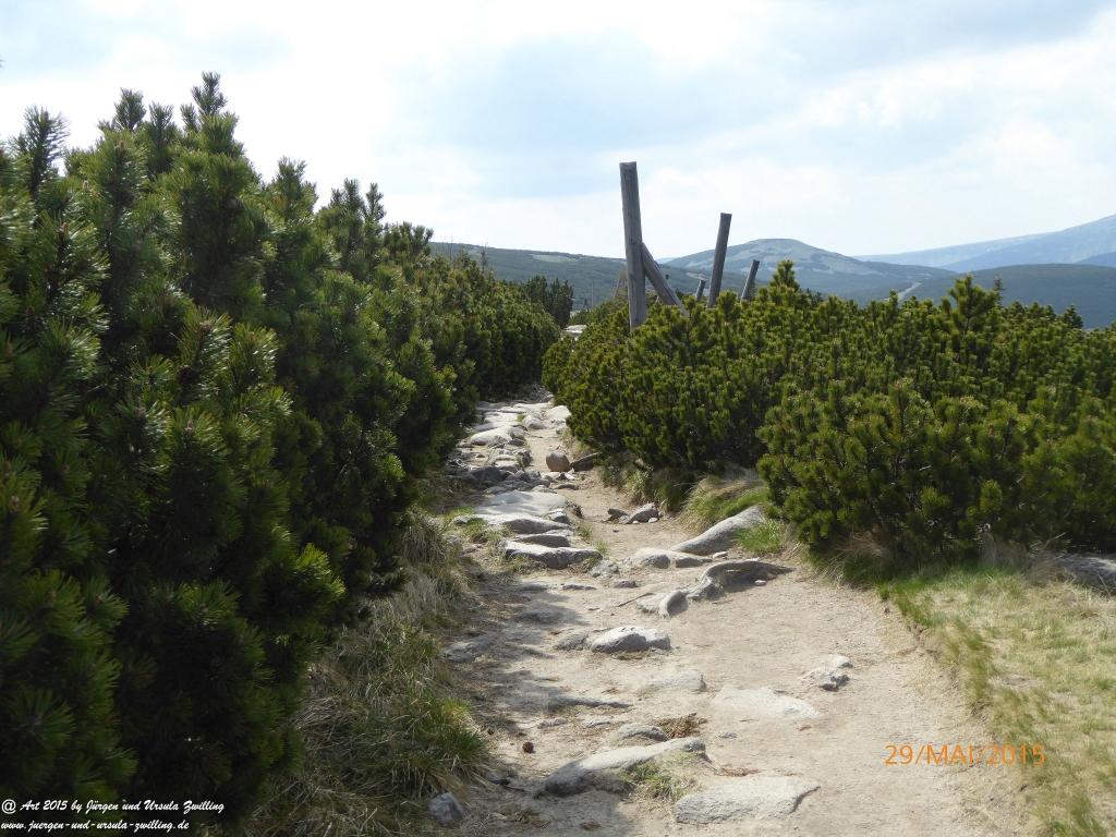Philosophische Bildwanderung - Przesieka - Borowice - Słonecznik -Karkonosze - Krakonoše - Polen -Tschechien -(Hain - Baberhäuser - Mittagstein - Riesengebirge
