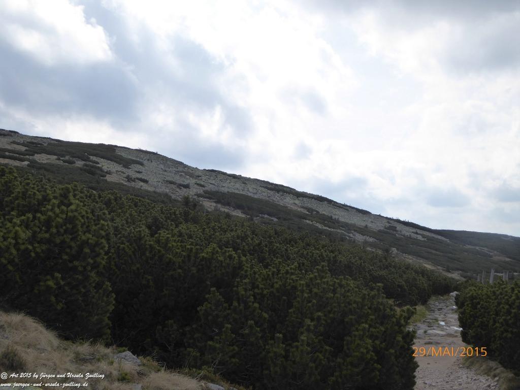 Philosophische Bildwanderung - Przesieka - Borowice - Słonecznik -Karkonosze - Krakonoše - Polen -Tschechien -(Hain - Baberhäuser - Mittagstein - Riesengebirge