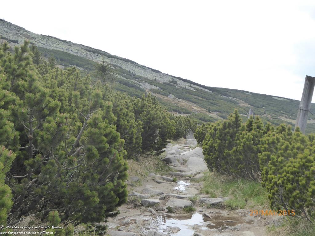 Philosophische Bildwanderung - Przesieka - Borowice - Słonecznik -Karkonosze - Krakonoše - Polen -Tschechien -(Hain - Baberhäuser - Mittagstein - Riesengebirge