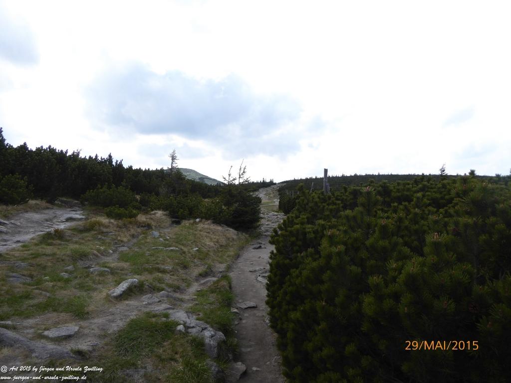 Philosophische Bildwanderung - Przesieka - Borowice - Słonecznik -Karkonosze - Krakonoše - Polen -Tschechien -(Hain - Baberhäuser - Mittagstein - Riesengebirge