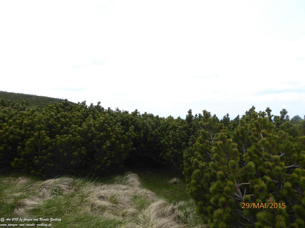 Philosophische Bildwanderung - Przesieka - Borowice - Słonecznik -Karkonosze - Krakonoše - Polen -Tschechien -(Hain - Baberhäuser - Mittagstein - Riesengebirge