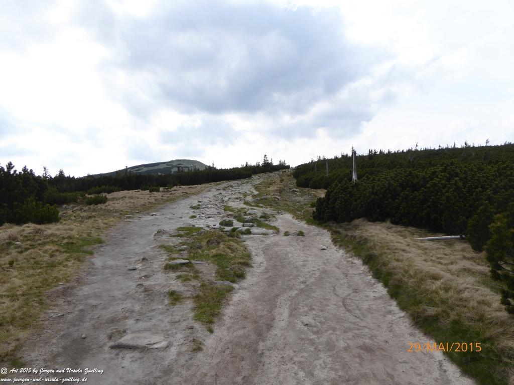 Philosophische Bildwanderung - Przesieka - Borowice - Słonecznik -Karkonosze - Krakonoše - Polen -Tschechien -(Hain - Baberhäuser - Mittagstein - Riesengebirge