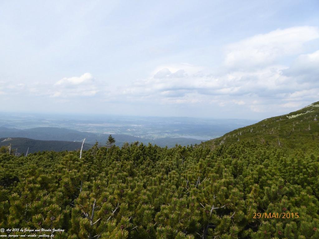 Philosophische Bildwanderung - Przesieka - Borowice - Słonecznik -Karkonosze - Krakonoše - Polen -Tschechien -(Hain - Baberhäuser - Mittagstein - Riesengebirge