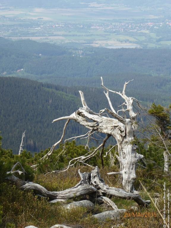 Philosophische Bildwanderung - Przesieka - Borowice - Słonecznik -Karkonosze - Krakonoše - Polen -Tschechien -(Hain - Baberhäuser - Mittagstein - Riesengebirge