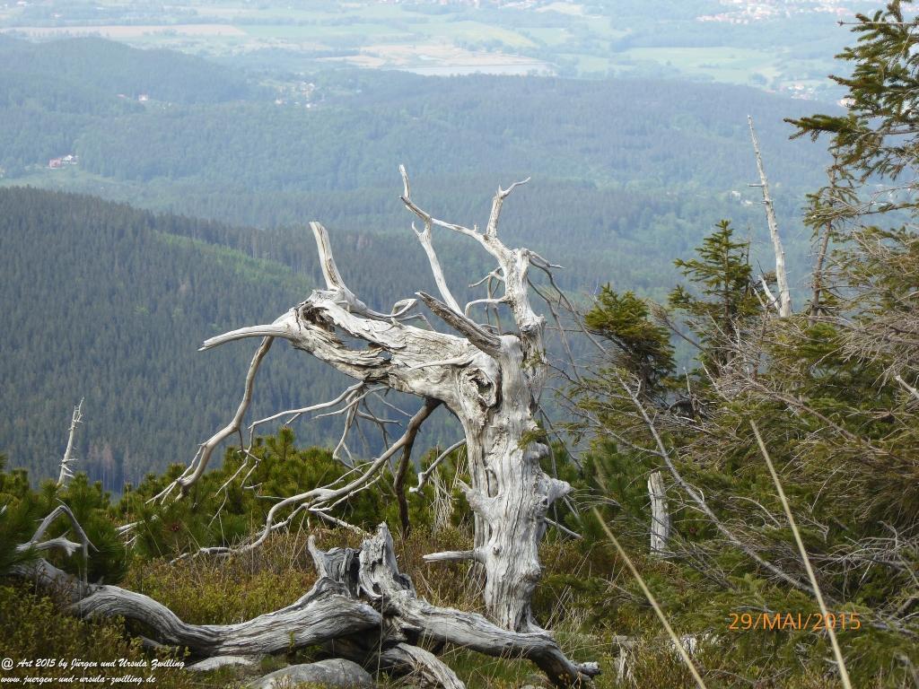 Philosophische Bildwanderung - Przesieka - Borowice - Słonecznik -Karkonosze - Krakonoše - Polen -Tschechien -(Hain - Baberhäuser - Mittagstein - Riesengebirge