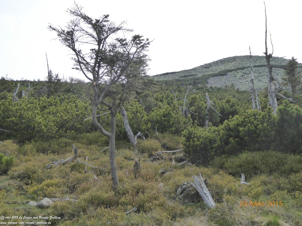 Philosophische Bildwanderung - Przesieka - Borowice - Słonecznik -Karkonosze - Krakonoše - Polen -Tschechien -(Hain - Baberhäuser - Mittagstein - Riesengebirge