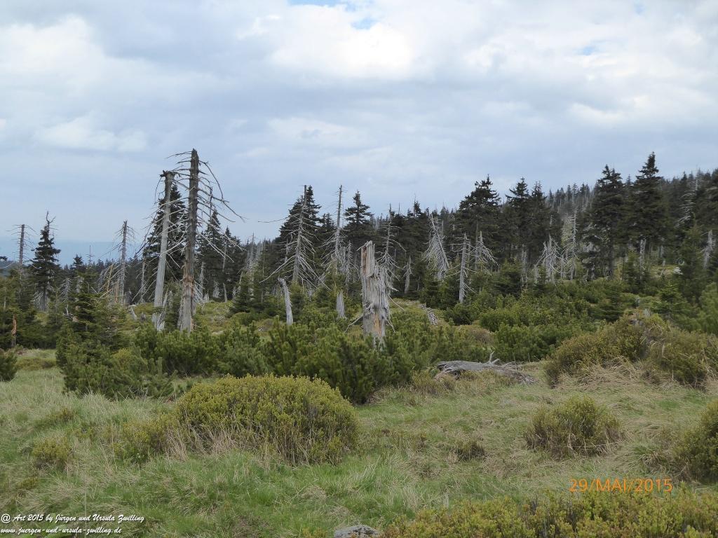 Philosophische Bildwanderung - Przesieka - Borowice - Słonecznik -Karkonosze - Krakonoše - Polen -Tschechien -(Hain - Baberhäuser - Mittagstein - Riesengebirge