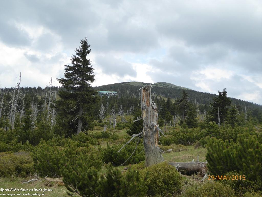 Philosophische Bildwanderung - Przesieka - Borowice - Słonecznik -Karkonosze - Krakonoše - Polen -Tschechien -(Hain - Baberhäuser - Mittagstein - Riesengebirge