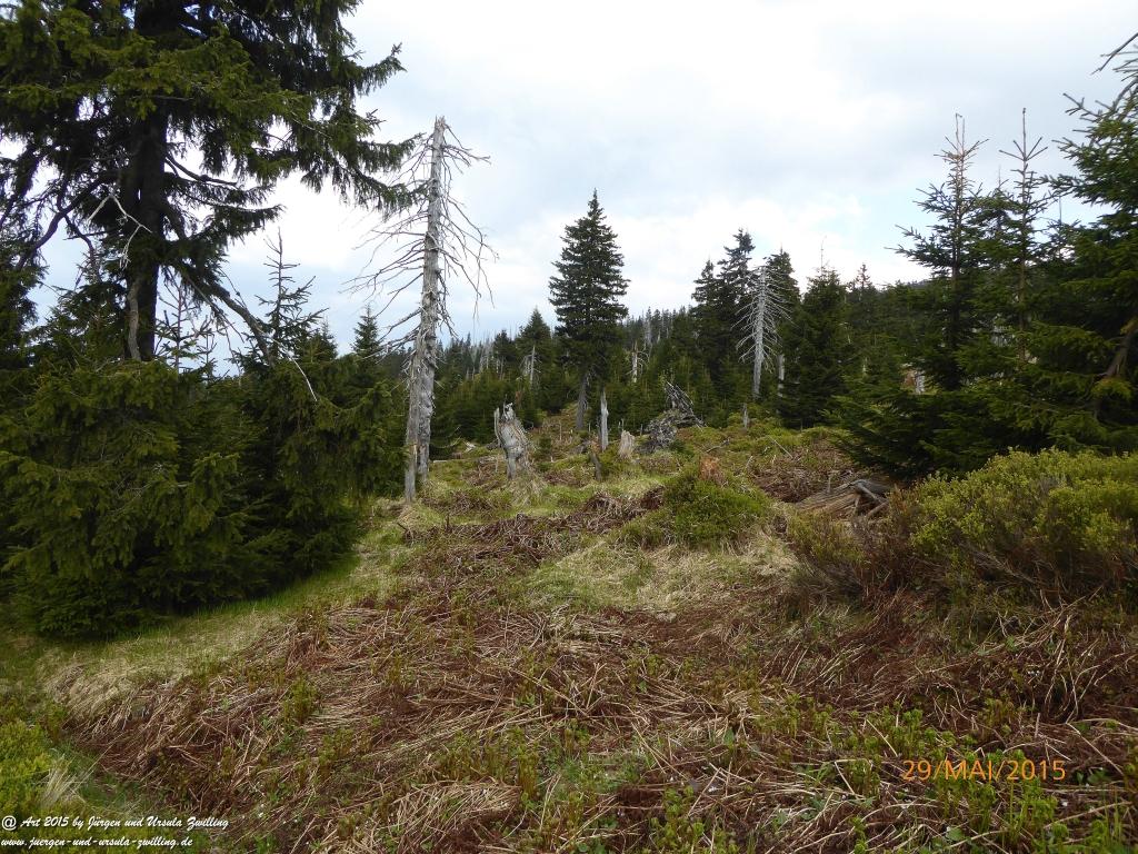 Philosophische Bildwanderung - Przesieka - Borowice - Słonecznik -Karkonosze - Krakonoše - Polen -Tschechien -(Hain - Baberhäuser - Mittagstein - Riesengebirge