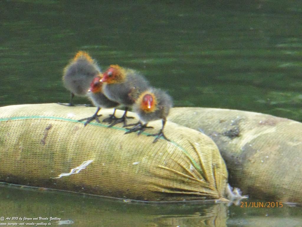 Düsseldorf am Rhein