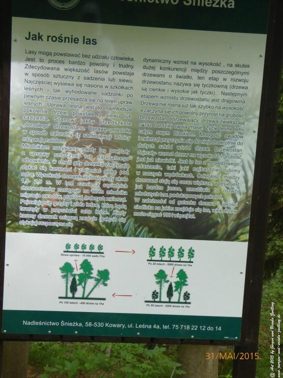 Philosophische Bildwanderung Kowary - Skalny Stół - Karkonosze - Krakonoše – Polen - Tschechien -(Schmiedeberg - Tafelstein - Riesengebirge)