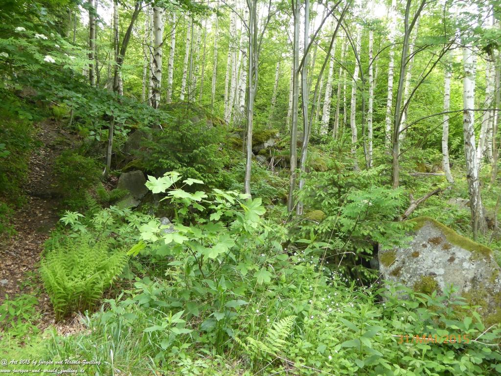 Philosophische Bildwanderung Kowary - Skalny Stół - Karkonosze - Krakonoše – Polen - Tschechien -(Schmiedeberg - Tafelstein - Riesengebirge)