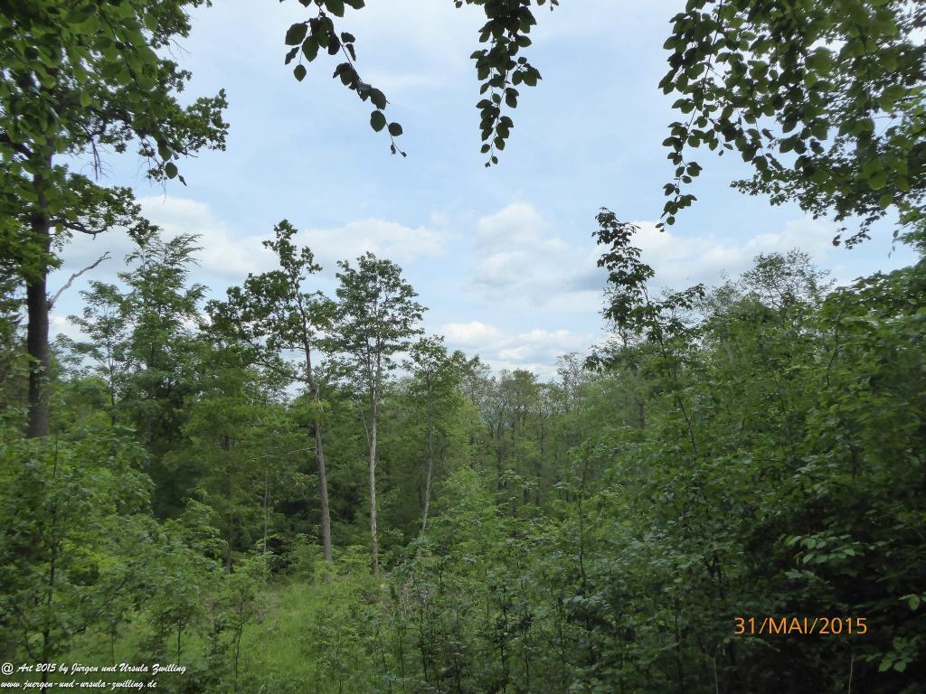 Philosophische Bildwanderung Kowary - Skalny Stół - Karkonosze - Krakonoše – Polen - Tschechien -(Schmiedeberg - Tafelstein - Riesengebirge)