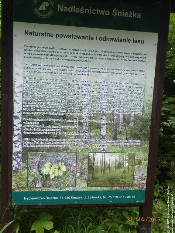 Philosophische Bildwanderung Kowary - Skalny Stół - Karkonosze - Krakonoše – Polen - Tschechien -(Schmiedeberg - Tafelstein - Riesengebirge)