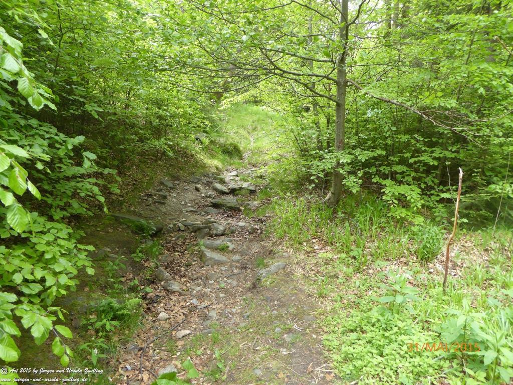 Philosophische Bildwanderung Kowary - Skalny Stół - Karkonosze - Krakonoše – Polen - Tschechien -(Schmiedeberg - Tafelstein - Riesengebirge)