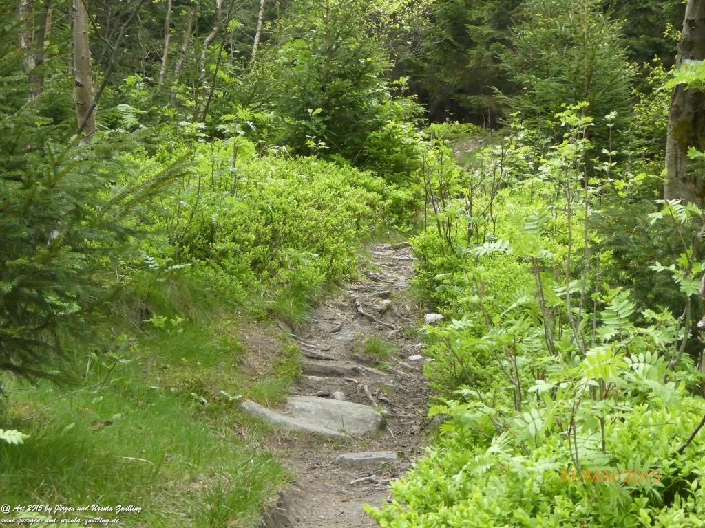 Philosophische Bildwanderung Kowary - Skalny Stół - Karkonosze - Krakonoše – Polen - Tschechien -(Schmiedeberg - Tafelstein - Riesengebirge)