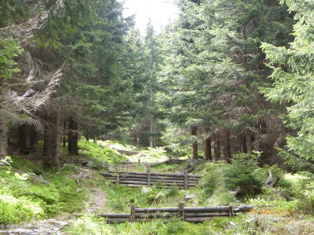 Philosophische Bildwanderung Kowary - Skalny Stół - Karkonosze - Krakonoše – Polen - Tschechien -(Schmiedeberg - Tafelstein - Riesengebirge)