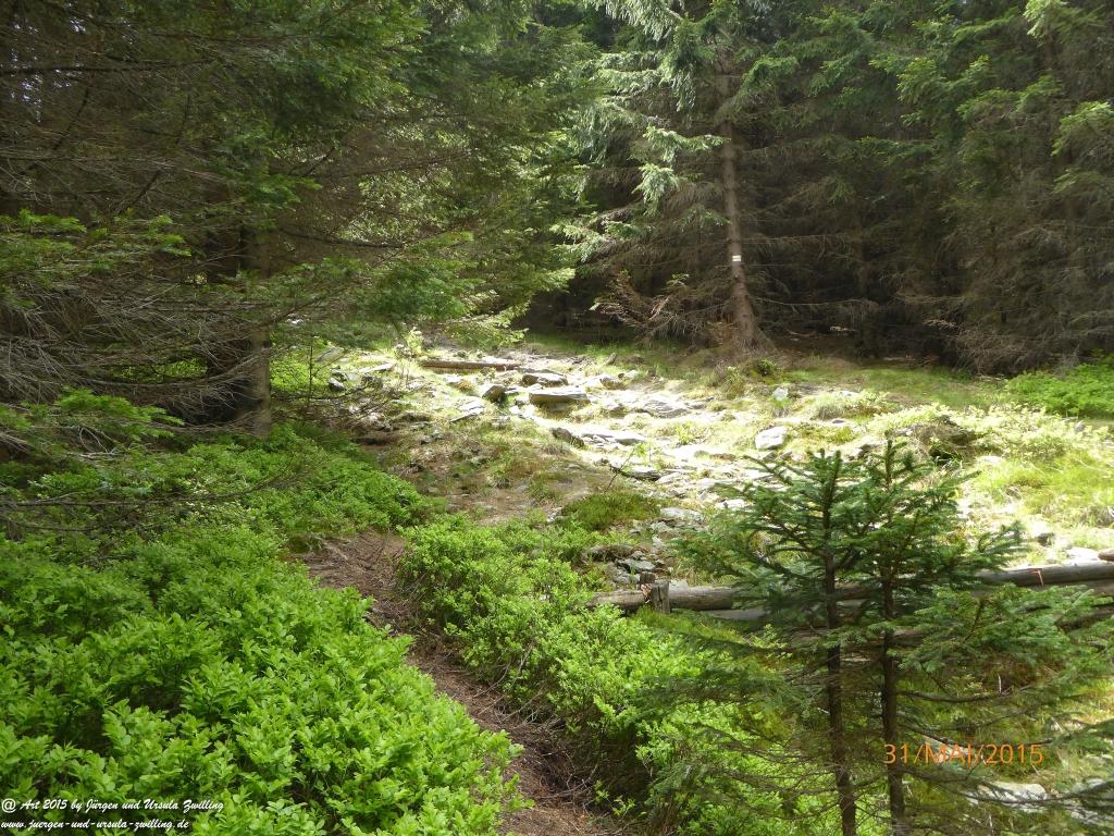 Philosophische Bildwanderung Kowary - Skalny Stół - Karkonosze - Krakonoše – Polen - Tschechien -(Schmiedeberg - Tafelstein - Riesengebirge)