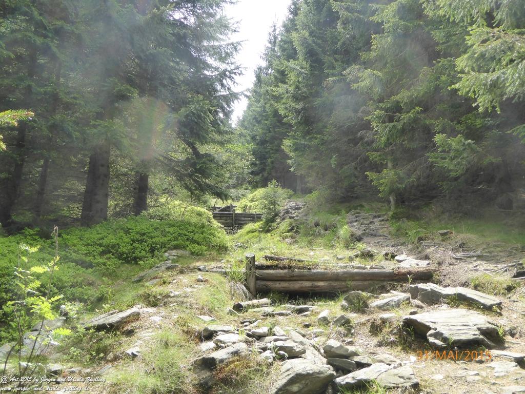 Philosophische Bildwanderung Kowary - Skalny Stół - Karkonosze - Krakonoše – Polen - Tschechien -(Schmiedeberg - Tafelstein - Riesengebirge)